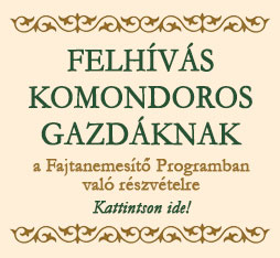 KFP modul2