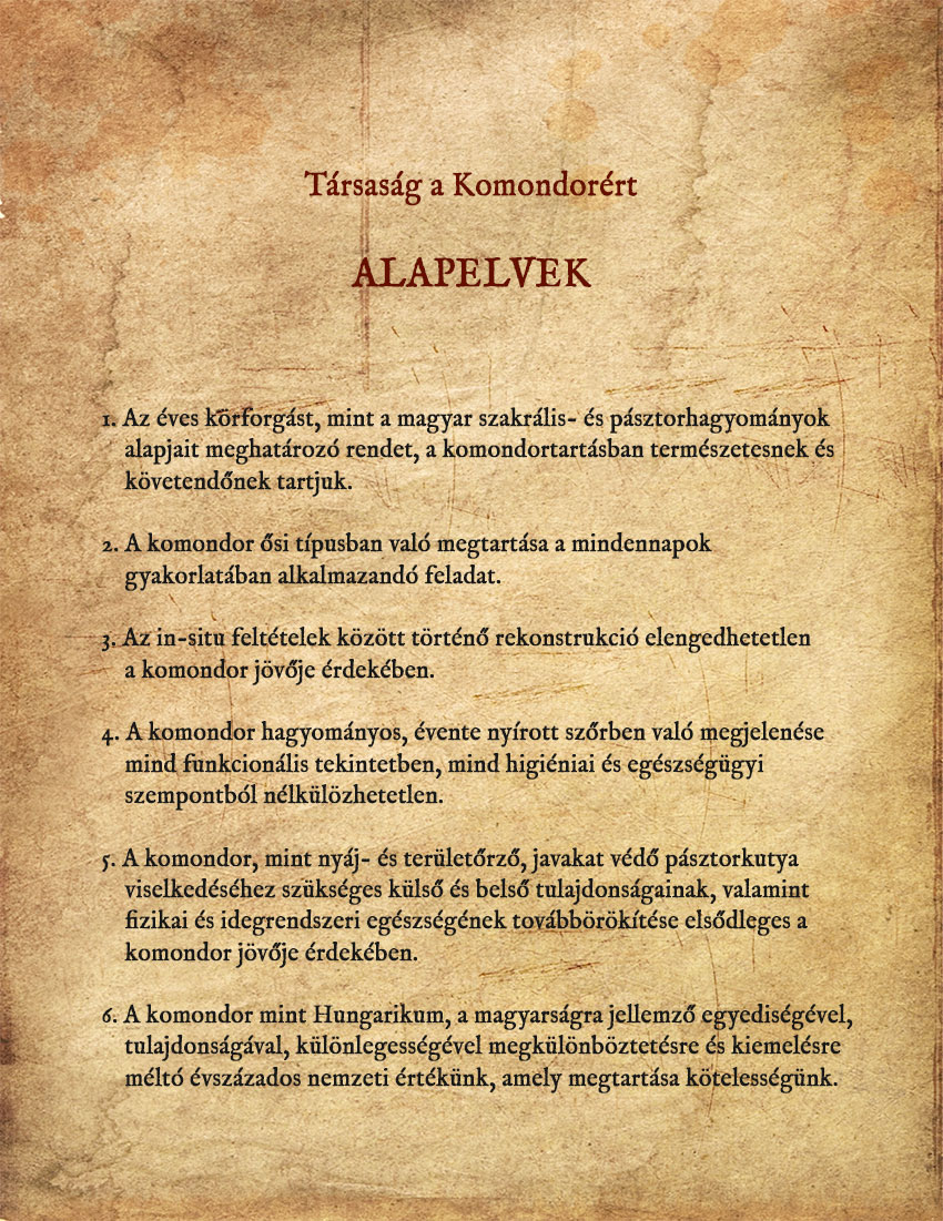 w alapelvek merítettpapiron
